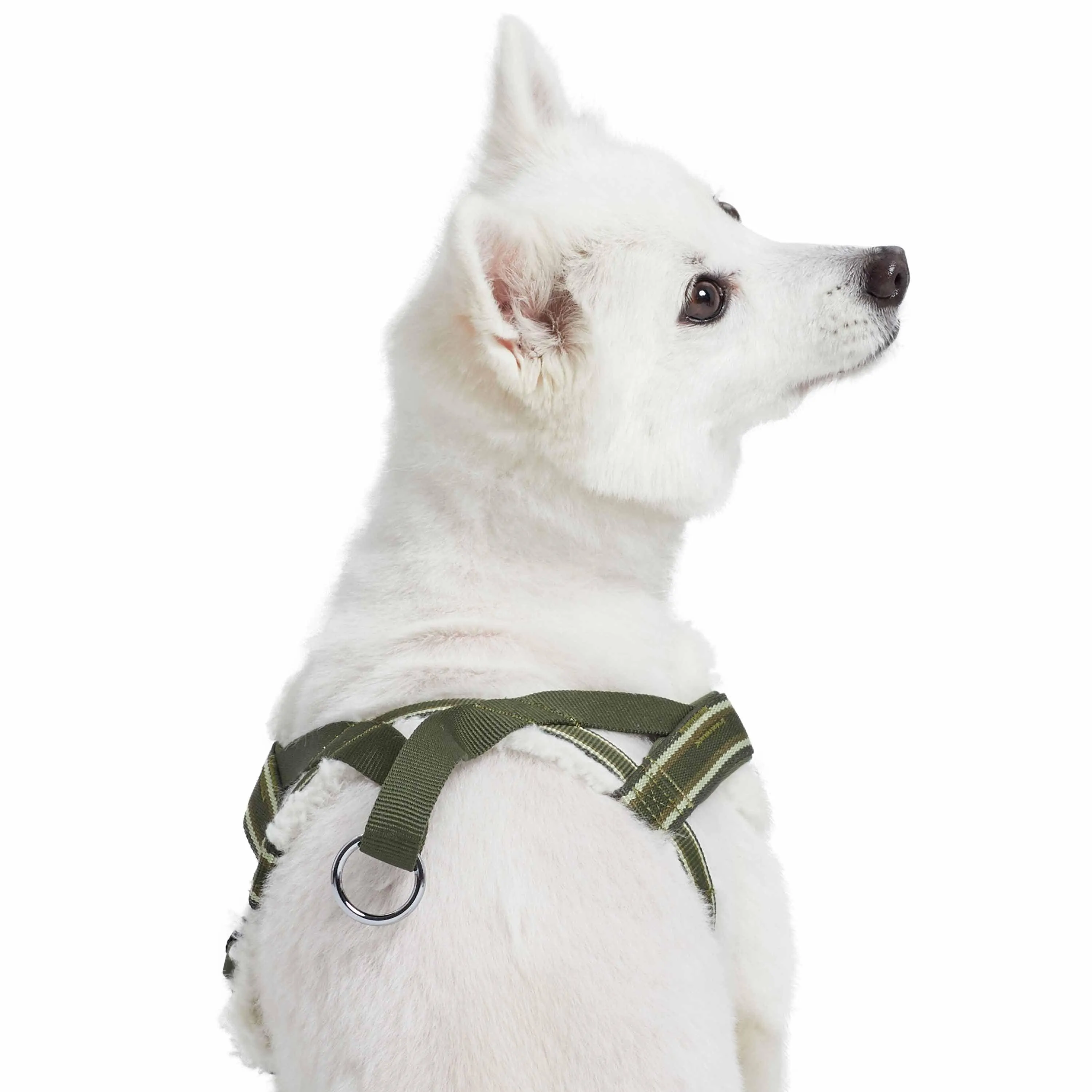 Easy On/Off | Sherpa Fleece Padded Dog Harness in Multi-color Stripes