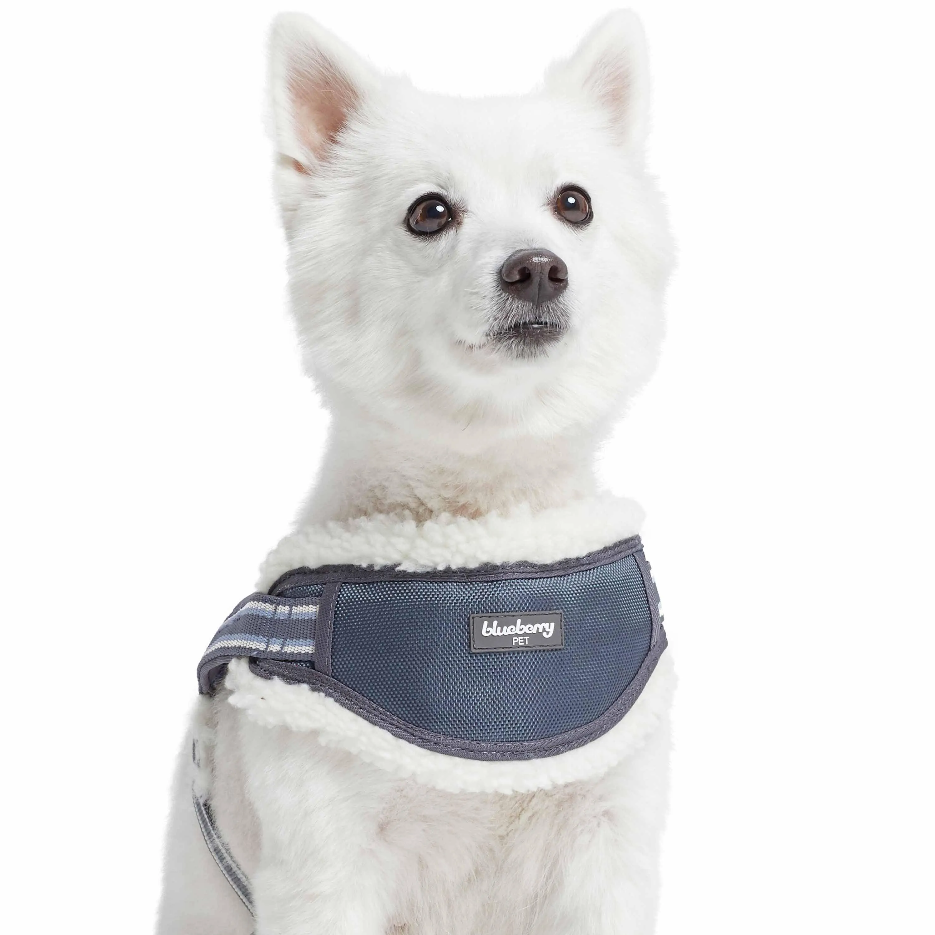 Easy On/Off | Sherpa Fleece Padded Dog Harness in Multi-color Stripes