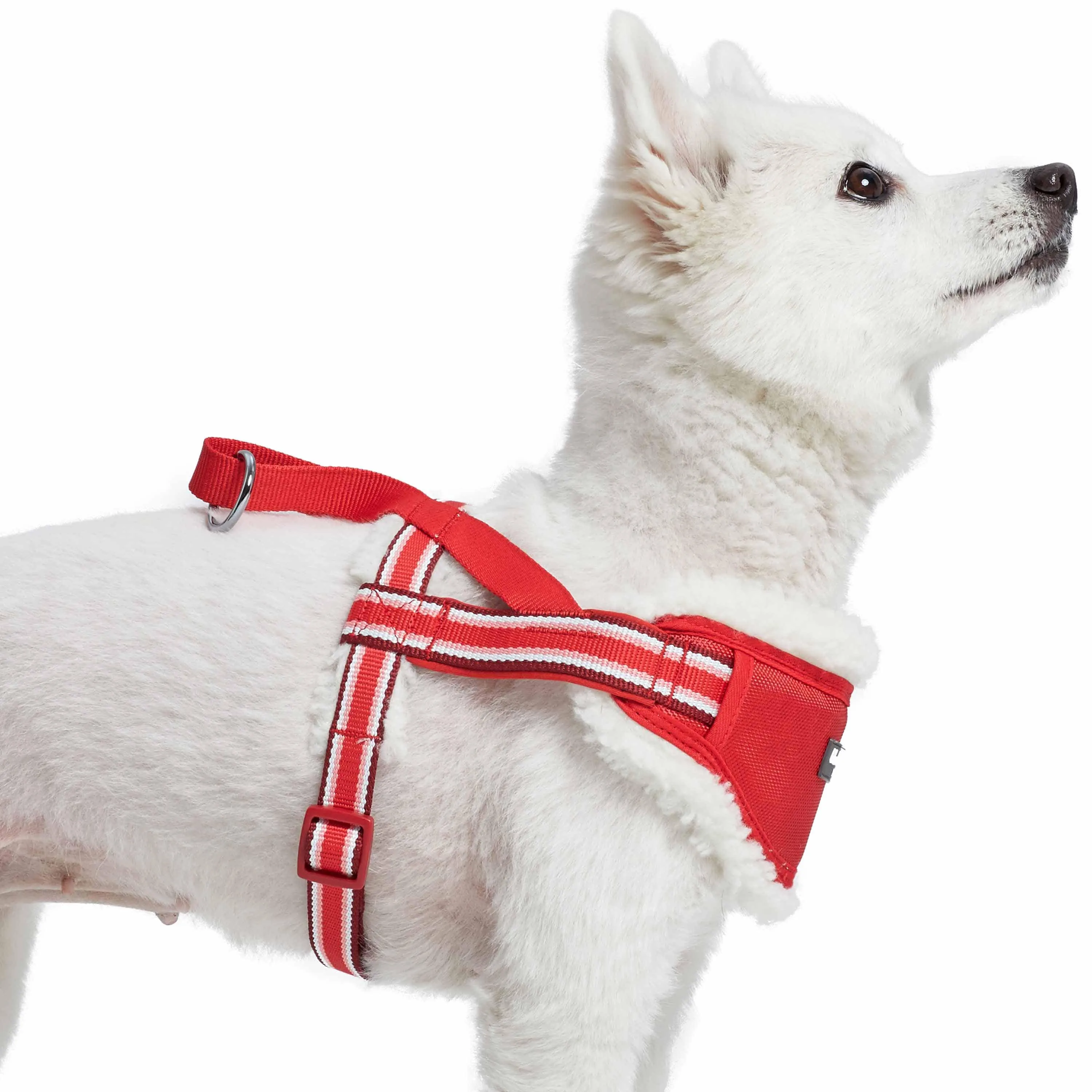 Easy On/Off | Sherpa Fleece Padded Dog Harness in Multi-color Stripes