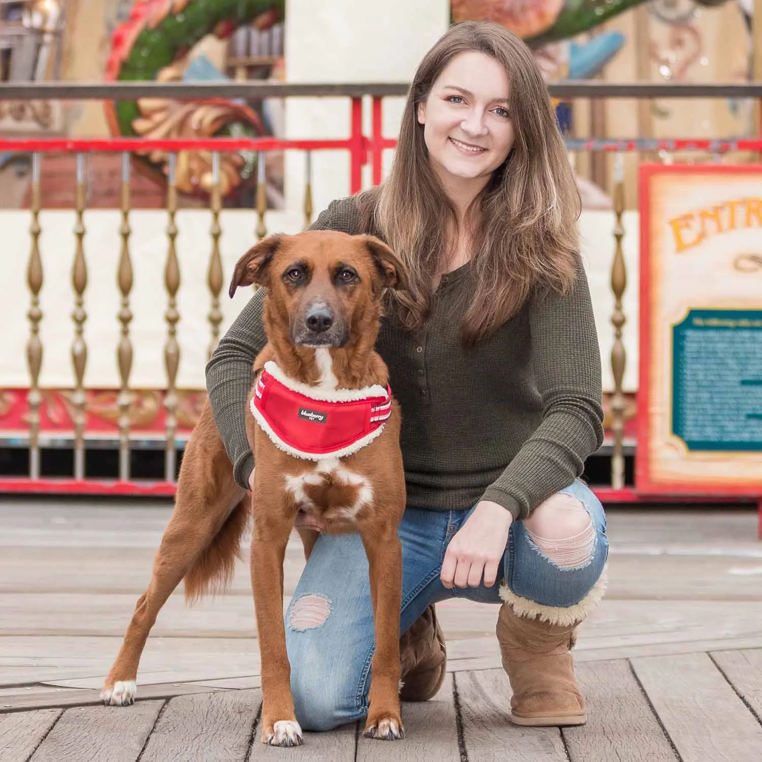 Easy On/Off | Sherpa Fleece Padded Dog Harness in Multi-color Stripes