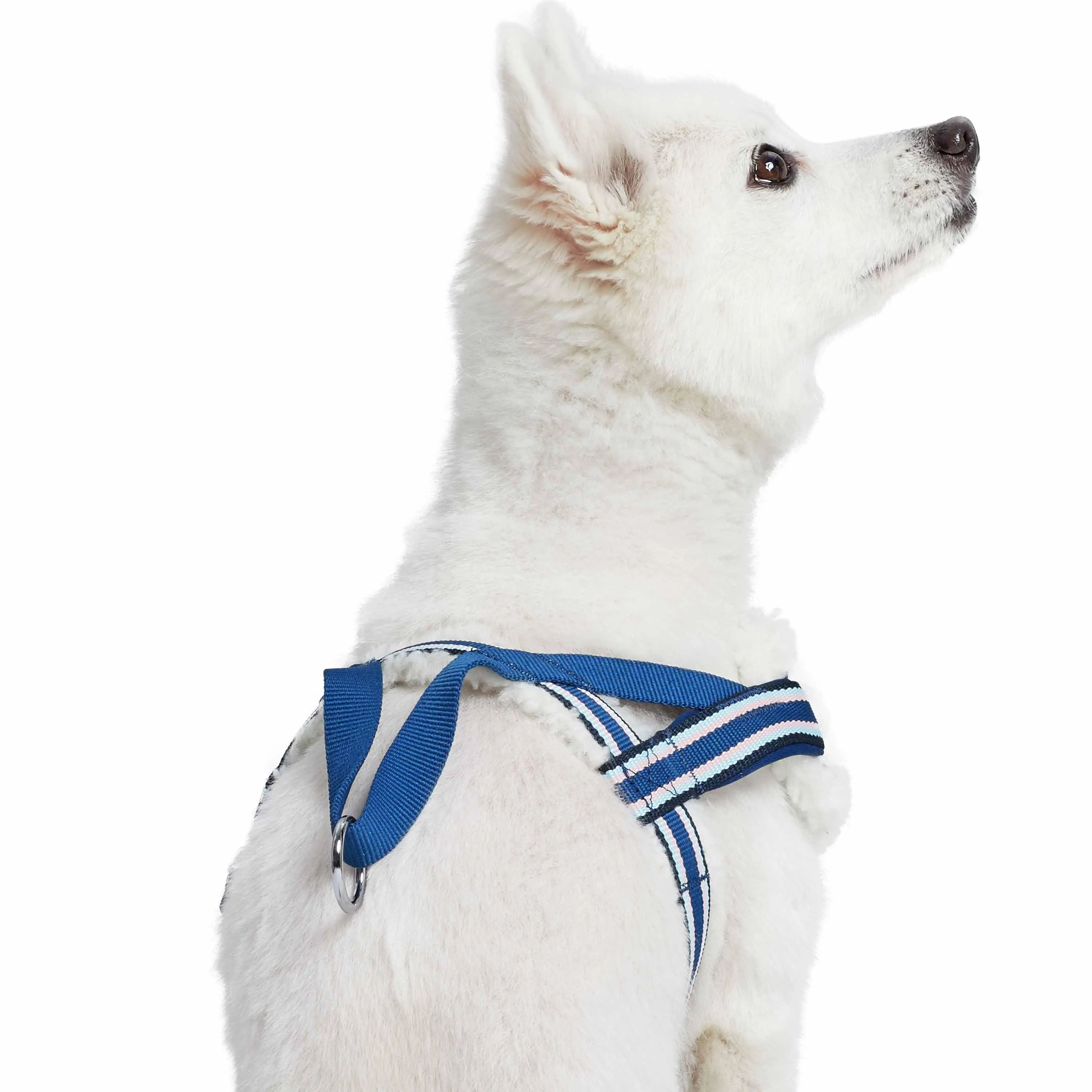 Easy On/Off | Sherpa Fleece Padded Dog Harness in Multi-color Stripes