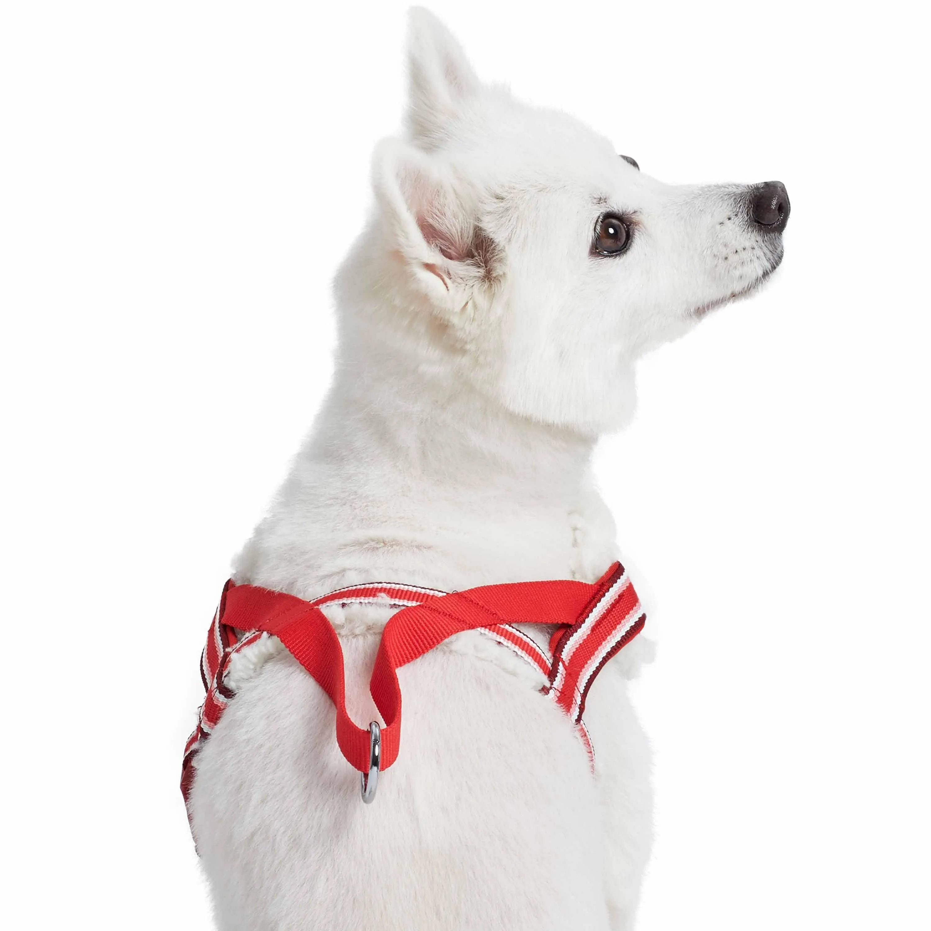 Easy On/Off | Sherpa Fleece Padded Dog Harness in Multi-color Stripes