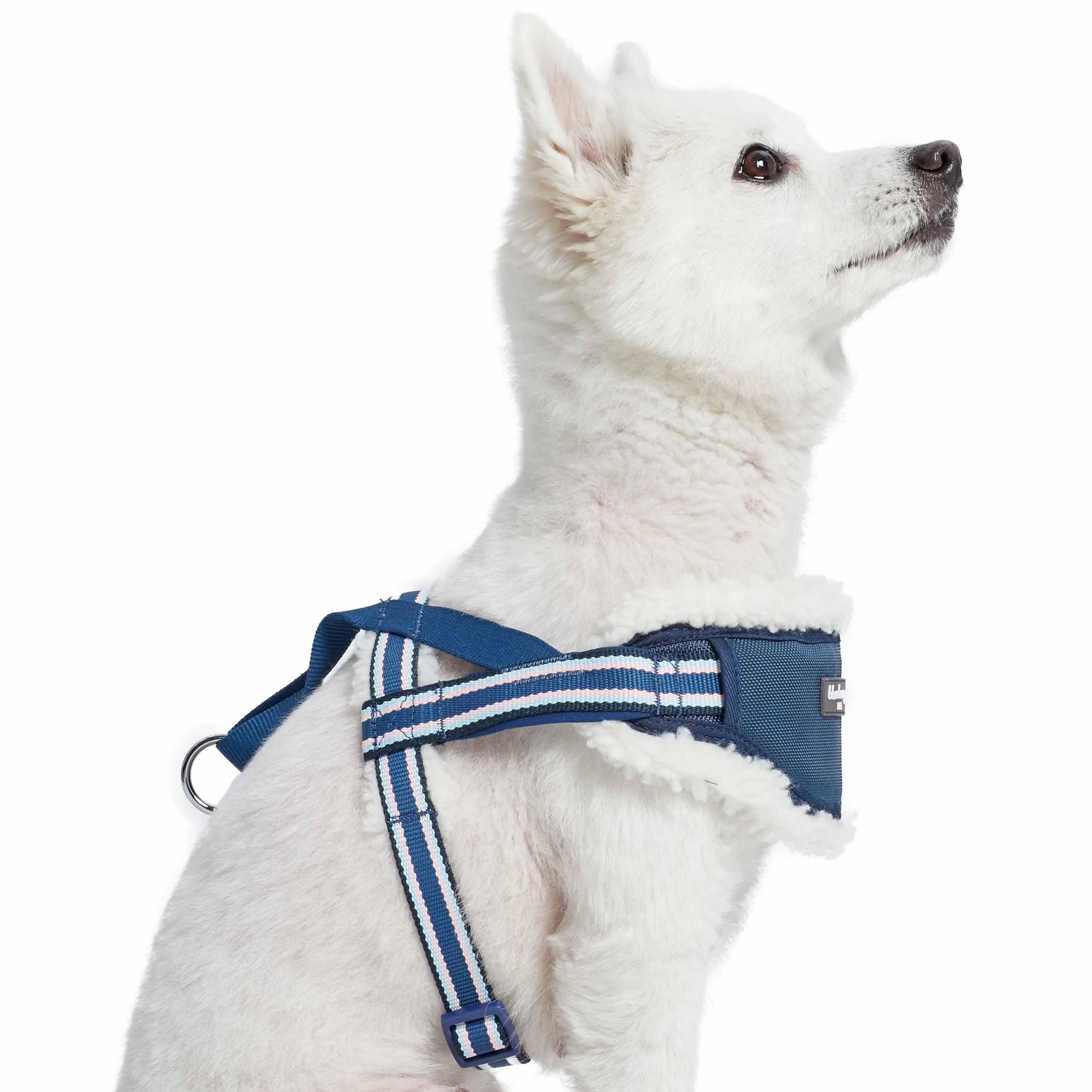 Easy On/Off | Sherpa Fleece Padded Dog Harness in Multi-color Stripes