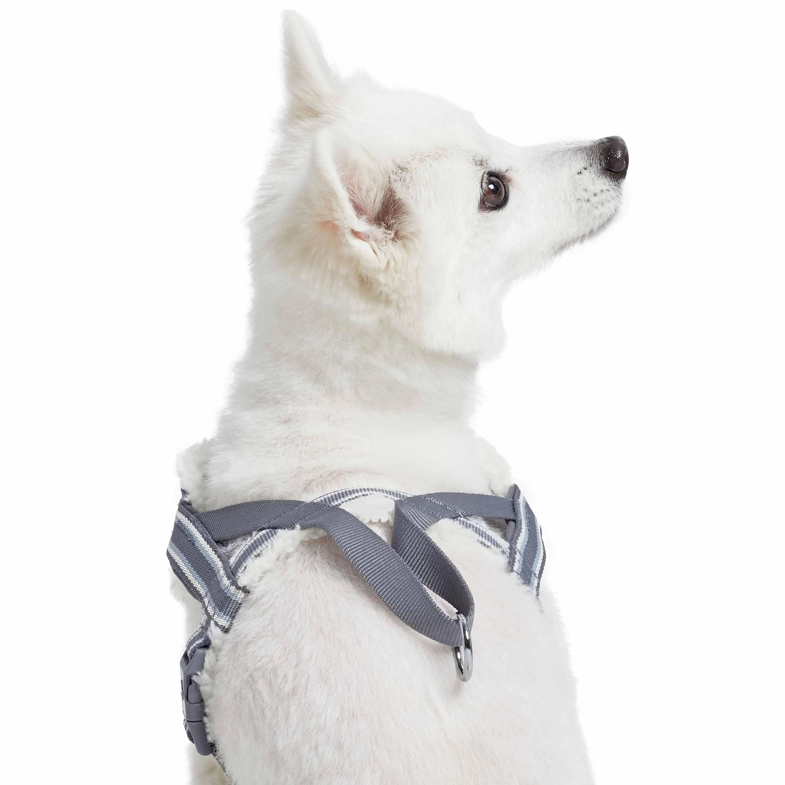 Easy On/Off | Sherpa Fleece Padded Dog Harness in Multi-color Stripes