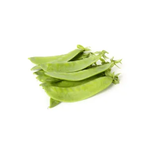 Snow Pea Oregon Sugar Pod II / Pois des Neiges Oregon Sugar Pod II | Tourne-Sol Organic Seeds